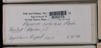 Image Associated With the Occurence